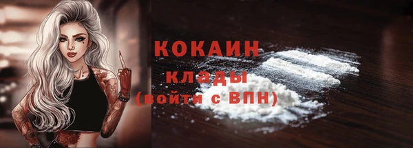 стаф Новодвинск