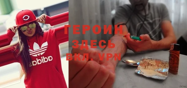 сатива Новокубанск