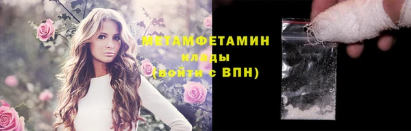 сатива Новокубанск
