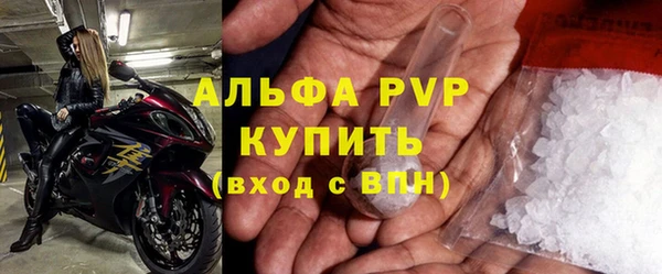 сатива Новокубанск
