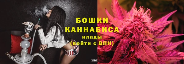 сатива Новокубанск