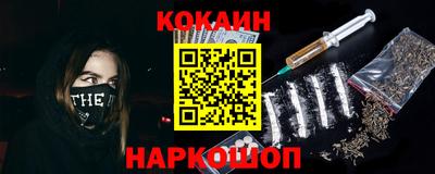 шишки Новозыбков