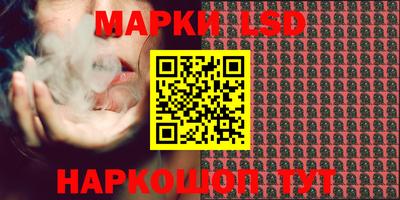 шишки Новозыбков