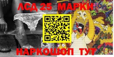 шишки Новозыбков