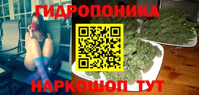гидра Новокубанск
