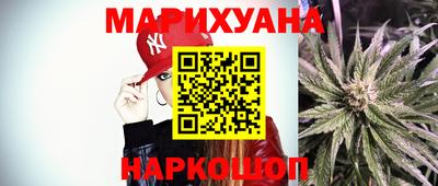 шишки Новозыбков