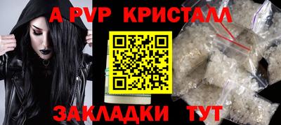 шишки Новозыбков