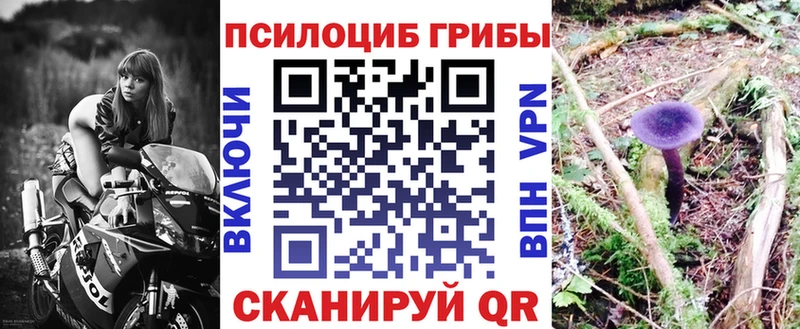 Галлюциногенные грибы Cubensis  купить  цена  Электрогорск 