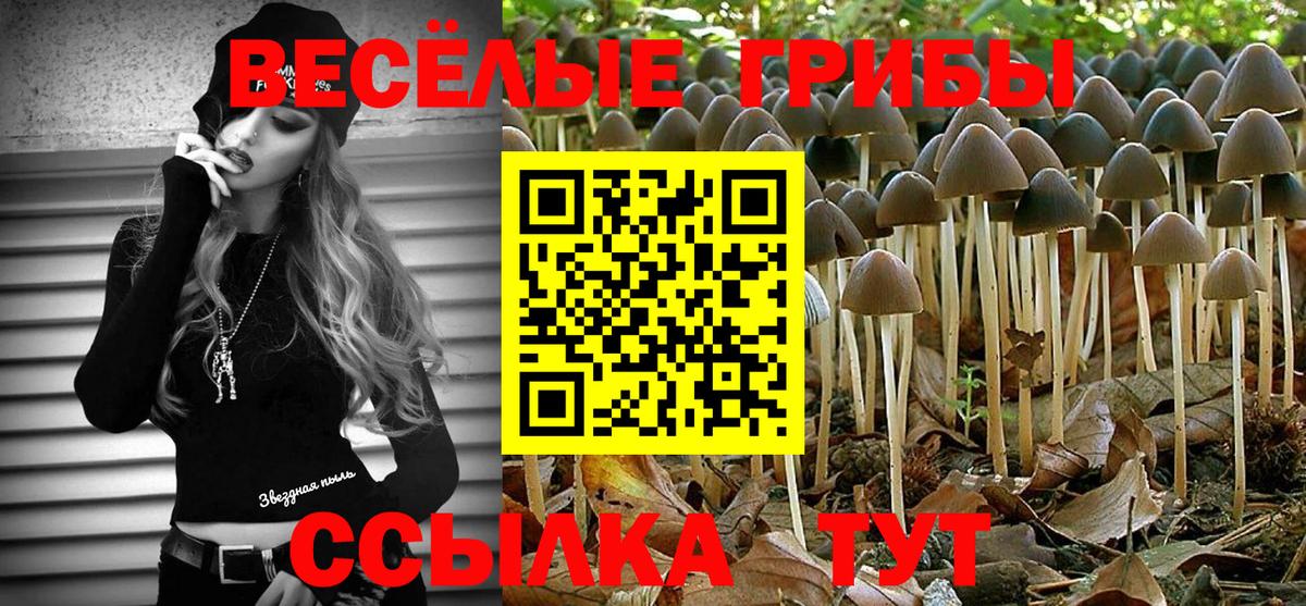 Галлюциногенные грибы ЛСД Электрогорск
