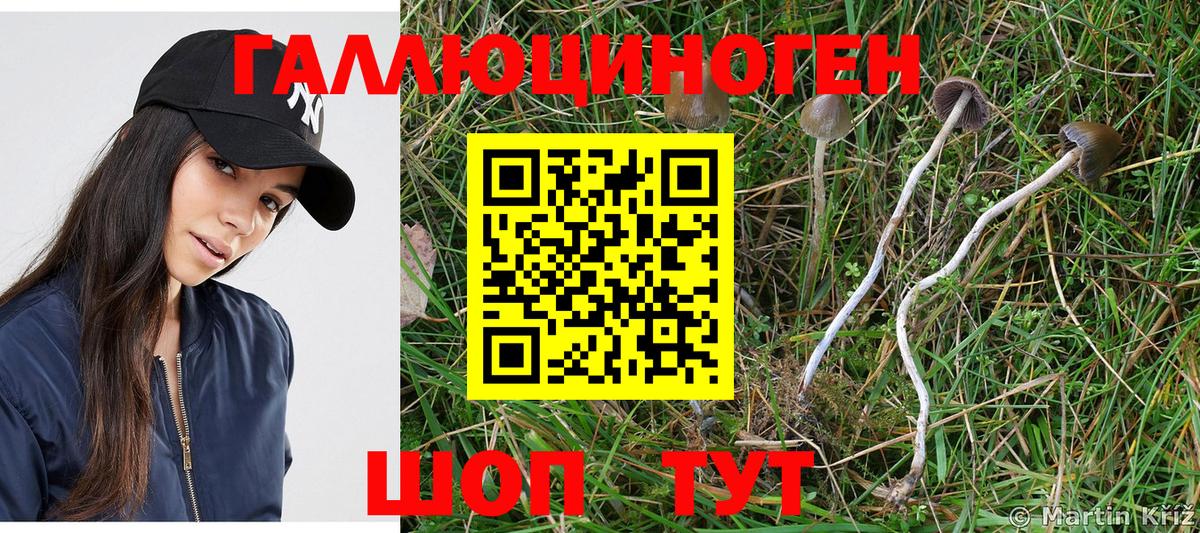 Псилоцибиновые грибы MAGIC MUSHROOMS  Псилоцибиновые грибы мицелий  Электрогорск  Вход с VPN 