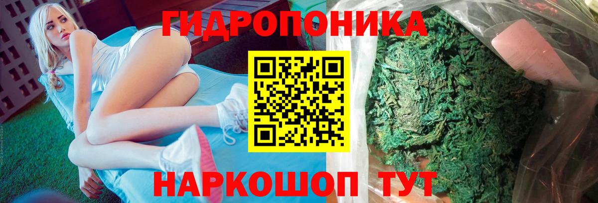 МАРИХУАНА White Widow  Шишки марихуана White Widow  Электрогорск  Бошки марихуана планчик  Конопля OG Kush  Вход с VPN 